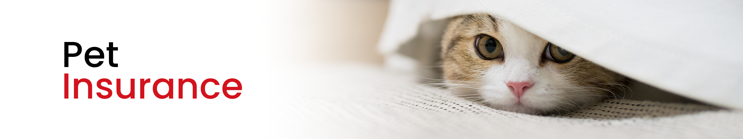 Cyber Insurance Banner